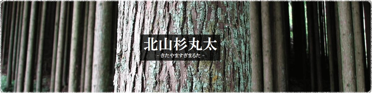 北山杉丸太のトップ画像