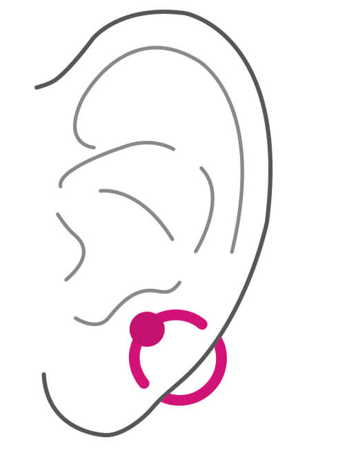 耳の部位 オービタル