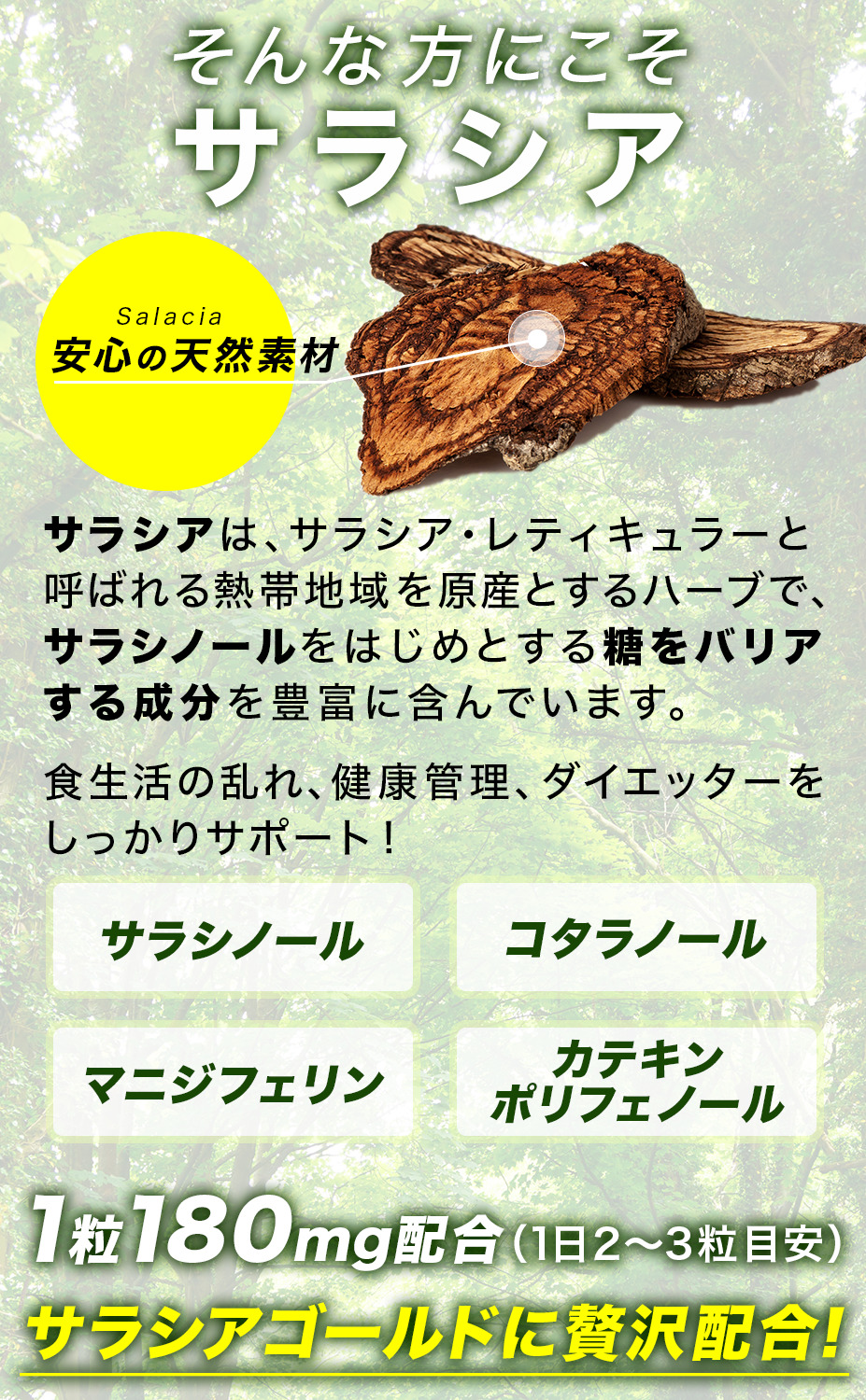 サラシア 10800mg含有 ウコン 菊芋 イヌリン サプリ サラシアゴールド