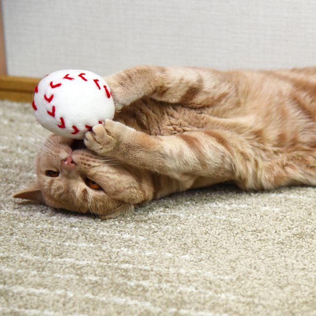 猫用おもちゃ 野球ボール (34346) またたび ペットトイ キャットトイ ぬいぐるみ ベースボール 単品 1個売り ゴロにゃんオリジナル :  45100 : 56nyan 猫用品ゴロにゃんヤフー店 - 通販 - Yahoo!ショッピング