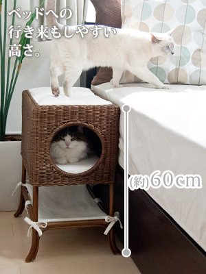 宇宙の香り 猫用ベッド ゴロにゃんオリジナル ラタン SOVANI (ソバニ) ブラウン(56n-5) ワンサイズ - キャットタワー