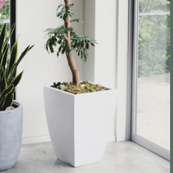 植木鉢 おしゃれ 大型 バスクスクエアS 35cm 11.5号 白 グレー 四角 セメント プランター 鉢 室内 屋外 鉢植え 観葉植物 塊根植物 花