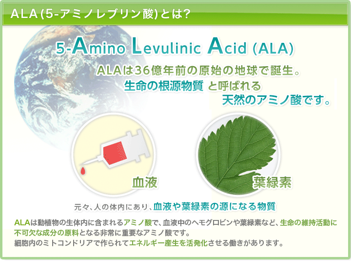 ALA(5-アミノレブリン酸)とは？