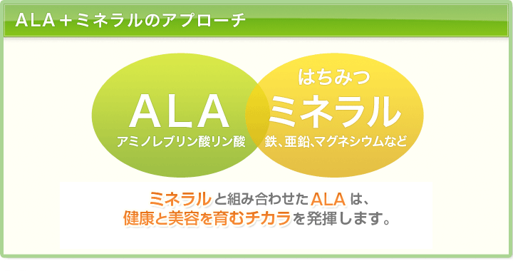 ALA（アラ アミノレブリン酸）＋ミネラル