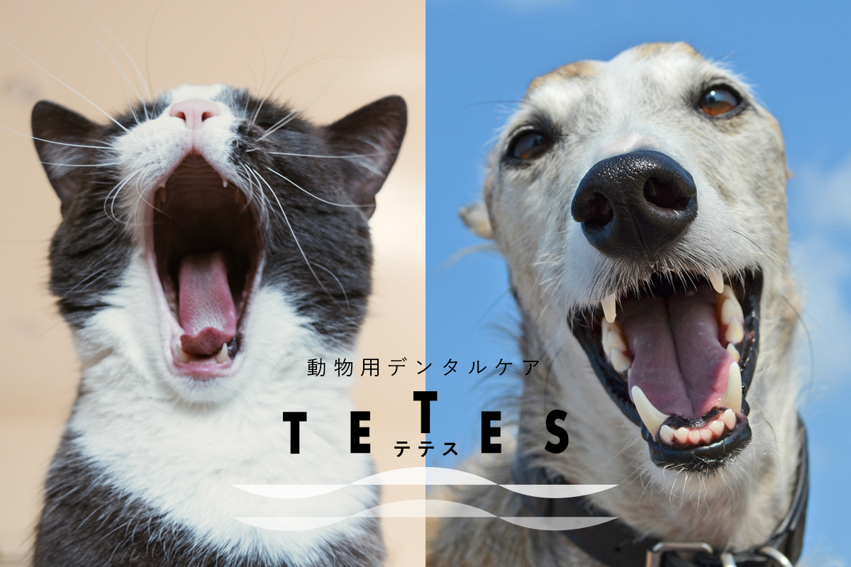 動物用デンタルケア TETES テテス