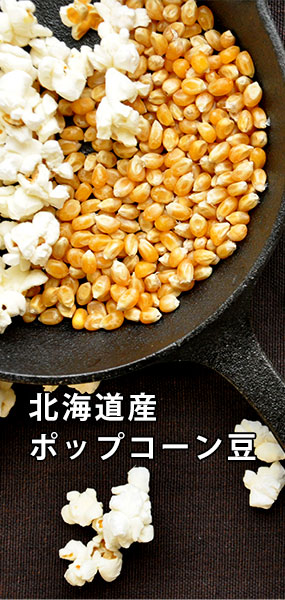 北海道産ポップコーン豆