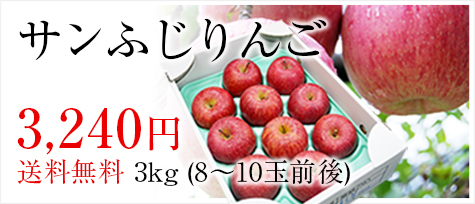 山形県特産蜜入りプレミアム・サンふじりんご 3kg(8-10玉前後)