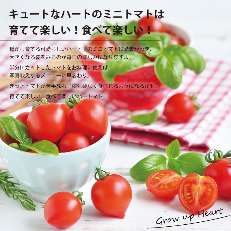 種から育てるハート型のミニトマト ハートマト 栽培セット ギフト :gd-546:芝生のことならバロネスダイレクト - 通販 -  Yahoo!ショッピング