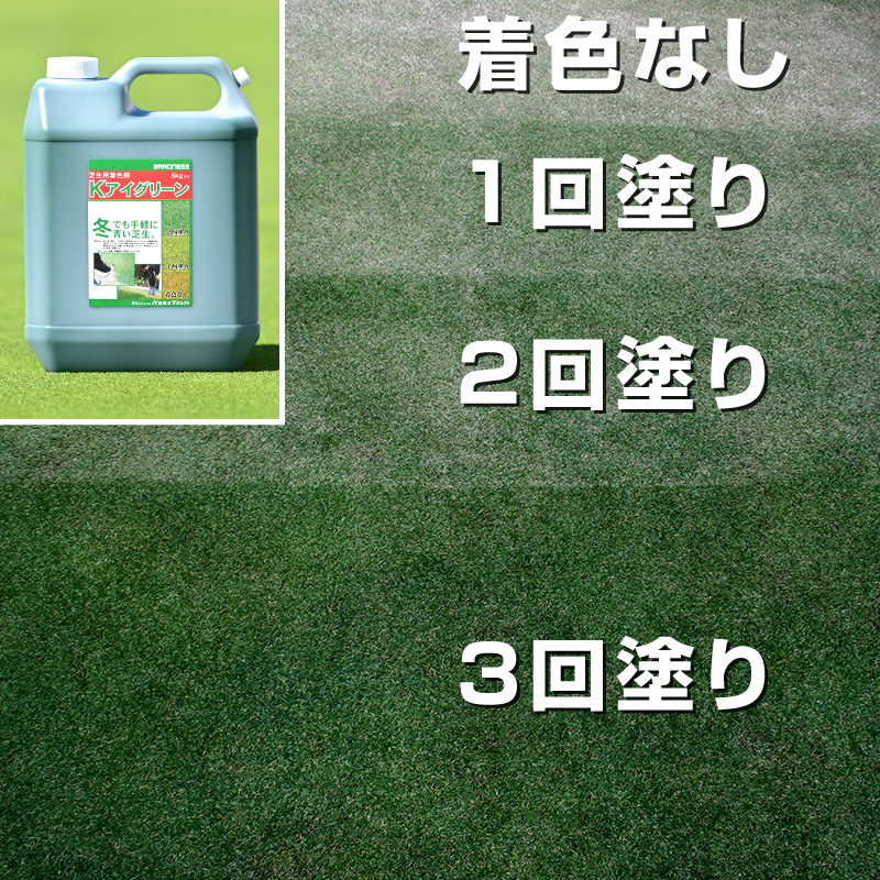 冬でも手軽に青い芝生。簡単手軽に茶色の芝生を緑色に塗り替えませんか。
