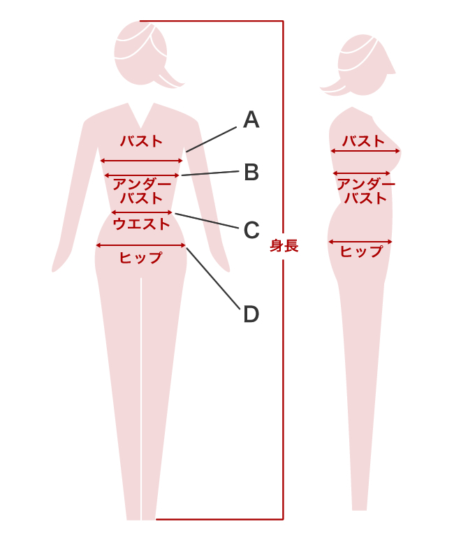 インナーウェアの基本身体寸法（ヌード寸法）の測り方