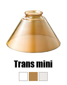 Trans mini