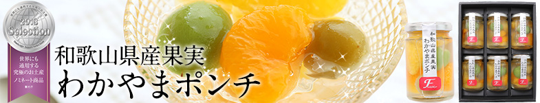 和歌山県産果実使用のわかやまポンチセット　夏ギフトに人気です
