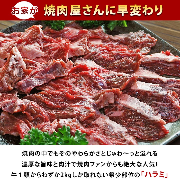 steak_harami-2