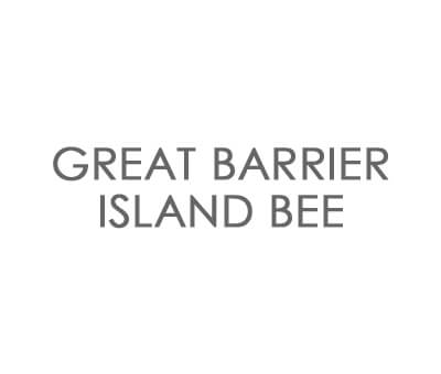 GREAT BARRIER ISLAND BEE