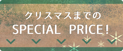 SPECIAL PRICE！クリスマスまで限定！