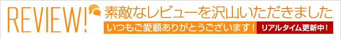 TOKIO ミーティングチェア ステンレス脚テーブル付 クリアブルー  ■▼120-2583 FSC-25ST CBL  1脚