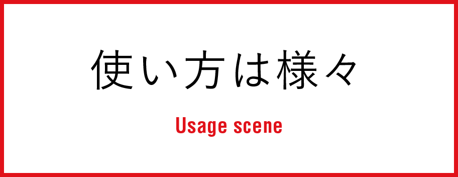 g͗lX Usage scene