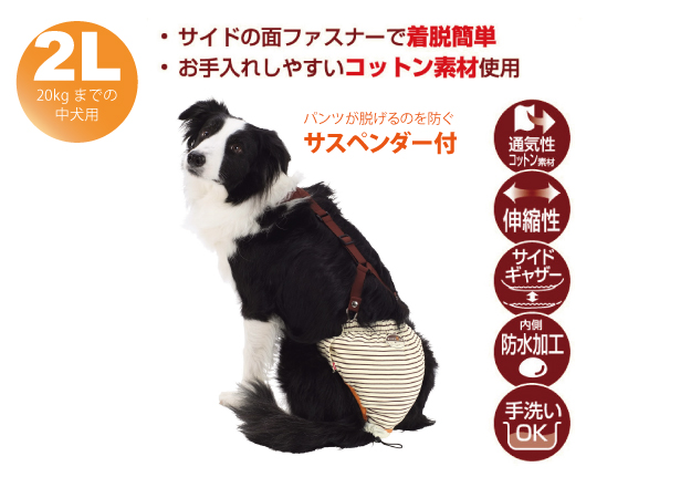 犬用 おむつパンツ 2L (サスペンダー 付き)老犬介護・生理・サニタリーパンツ カバー :pop4:犬のご飯とケーキのドッグダイナー - 通販 -  Yahoo!ショッピング