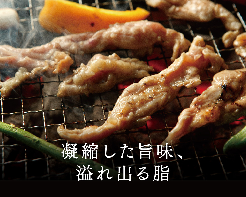 塩味250g　ic-ck-0004-250g　肉のあおやま　北海道のお肉屋さん　通販　鶏肉北海道産　味付き鶏セセリ