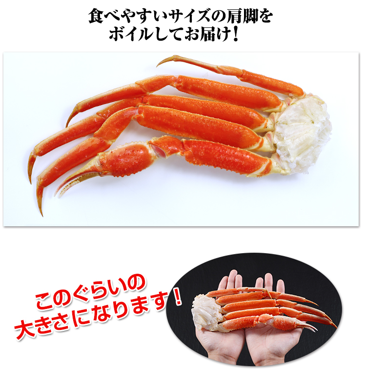 食べやすいサイズのずわい蟹の肩脚をボイルしてお届け！