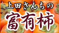 上田さんちの富有柿