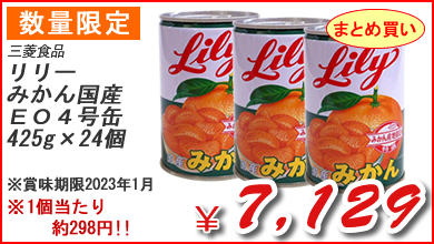 リリー　みかん国産ＥＯ４号缶　４２５Ｇ　×24個