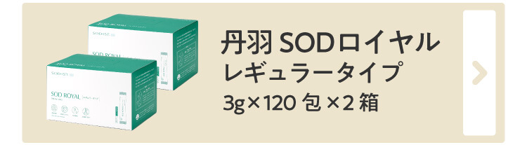 ぬか・ハ㊕ 丹羽 ジアニストPayPayモール店 - 通販 - PayPayモール SODロイヤル レギュラータイプ 3g