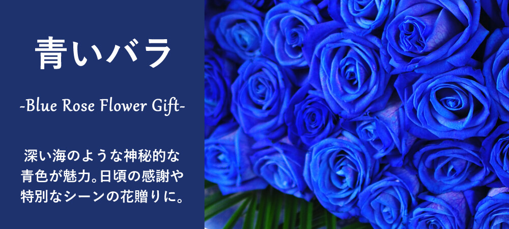 青いバラ/ブルーローズ/ブルーローズ花贈り