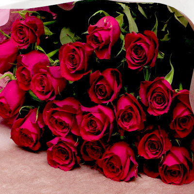 送別祝い/退職祝い/転勤祝い/異動祝い/歓送迎会/赤いバラの花束