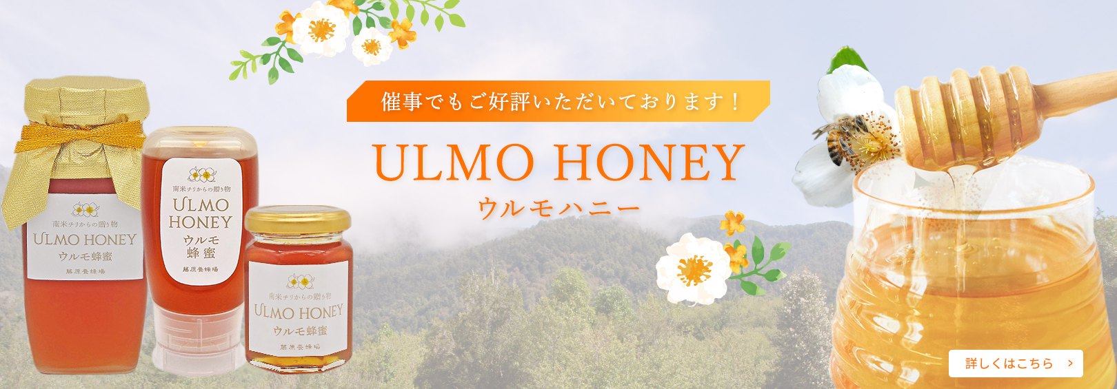 国産はちみつ 日本ミツバチのハチミツ 藤原養蜂場の日本在来種みつばち