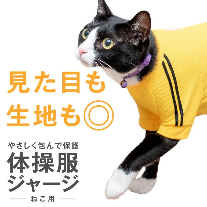 猫専用】猫用体操服ジャージつなぎ【ネコポス値2】フルオブビガー 猫の