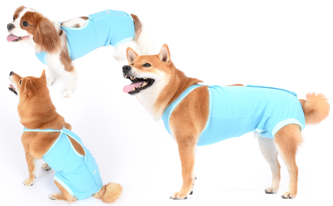市場 KUVEELA 中小型犬服 PET 保護服 術後ウェア エリザベスカラーに代わる 術後カバー服 術後服 犬用術後服
