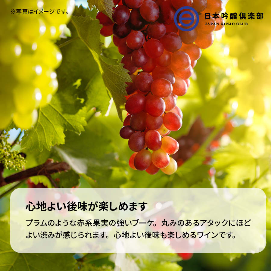 サンタ・リタ ヒーローズ カベルネ・ソーヴィニヨン 赤 赤ワイン :4901880874018:日本吟醸倶楽部 通販 