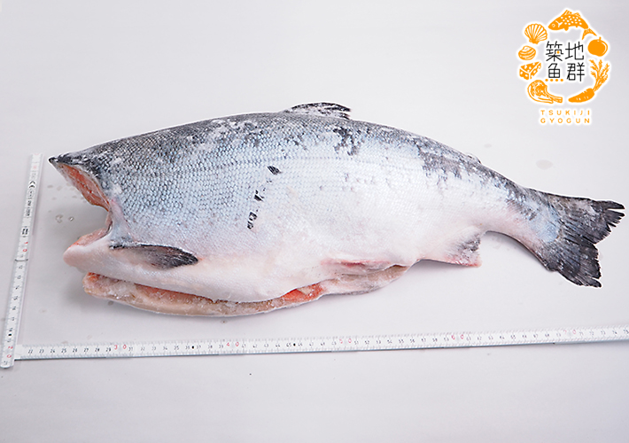 銀鮭ドレス（チリ産）約3kg 冷凍便 :1140:築地魚群 - 通販 - Yahoo!ショッピング