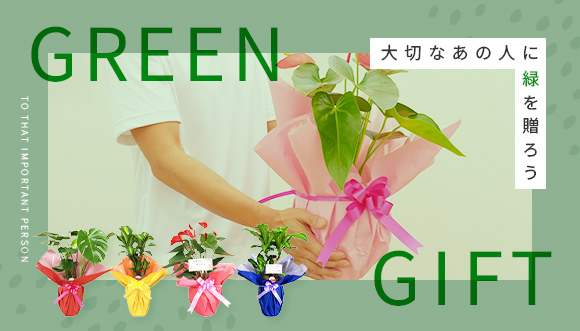 Green Gift 大切なあの人に緑を贈ろう