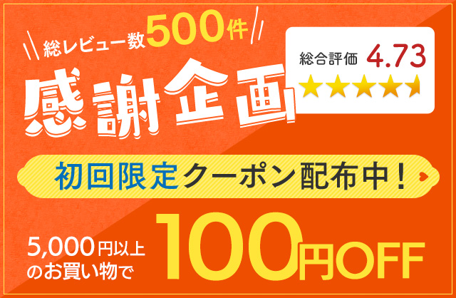 初回限定2,000円以上のお買い物で100円OFFクーポン