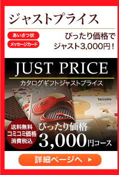 ジャストプライス　コミコミ価格で ジャスト3,000円！