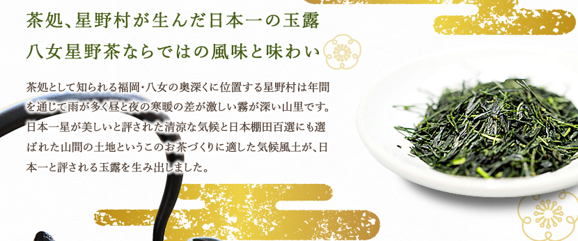 茶処、星野村が生んだ日本一の玉露　八女星野茶ならではの風味と味わい