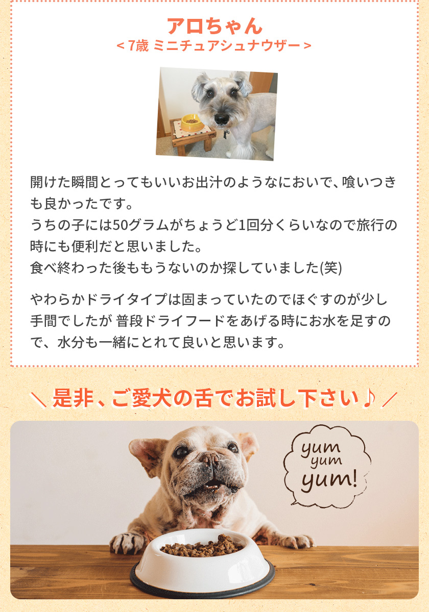 日本最大の日本最大の犬 ドッグフード 国産 Yum Yum Yum ヤムヤムヤム チキン ドライタイプ 500g イリオスマイル ポイント消化  ドライフード