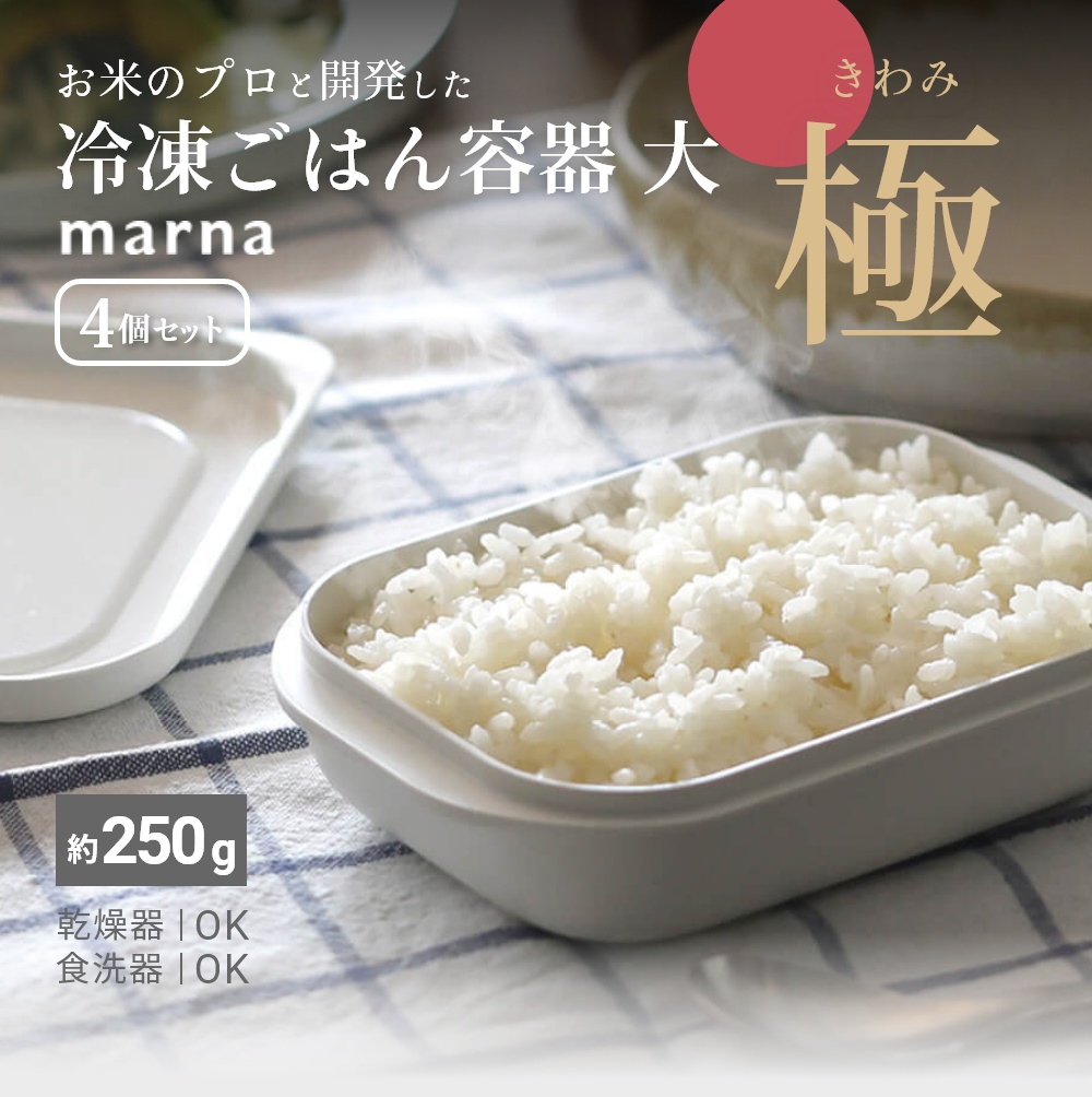 マーナ marna 極 冷凍ごはん容器 大 4個セット :marnak784set4-wh-F:INSTORE インストア 通販  