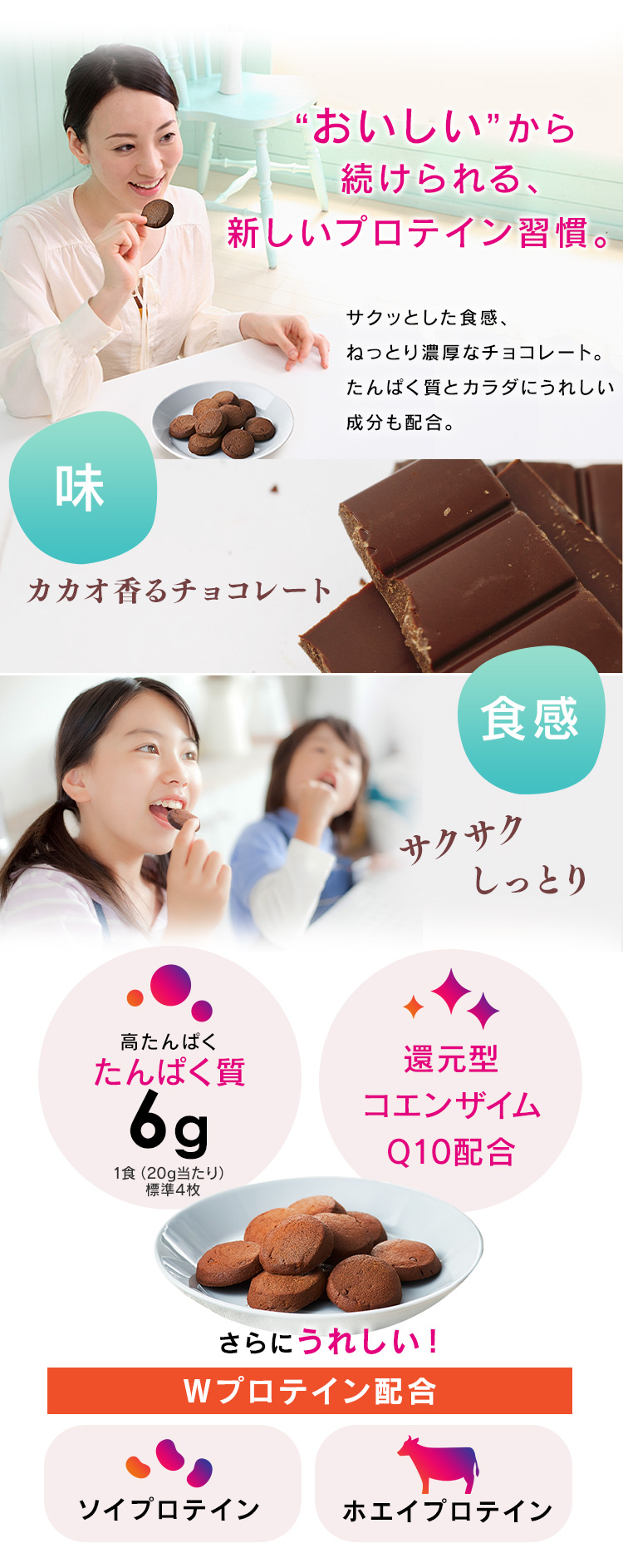 プロテインクッキー チョコ味 250g アイリスオーヤマ アイリスプラザ PayPayモール店 - 通販 - PayPayモール