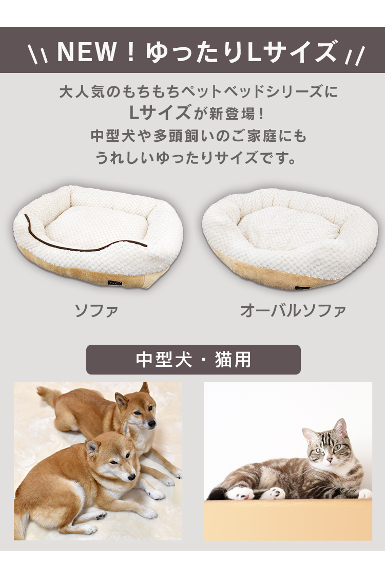 ペットベッド 犬 猫 ベッド ペット もちもちペットベッド : 7136785f 