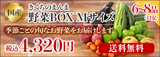野菜BOX Mサイズ