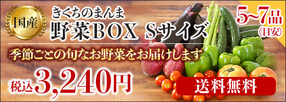 野菜BOX Sサイズ