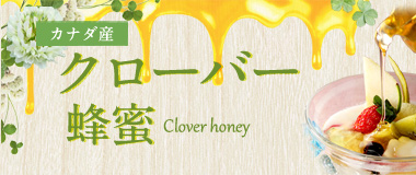 クローバー蜂蜜
