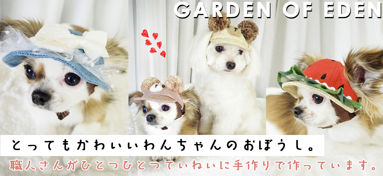 犬の帽子 ガーデンオブエデン