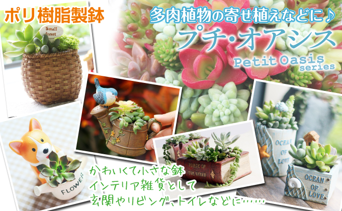花と緑 国華園 - ポリ樹脂製鉢（鉢・プランター）｜Yahoo!ショッピング