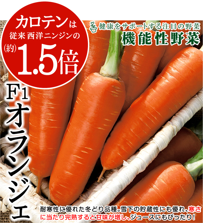ニンジン 種 たね F1オランジェ 1袋(コート種子 500粒) 機能性野菜 野菜たね YTC74 :2018n-p6-0080:花と緑 国華園  通販 