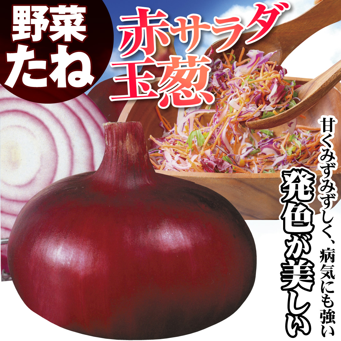 63円 【SALE】 玉ねぎ タマネギ 玉葱 タネ 愛知赤玉葱 1袋 3ml 種 野菜たね