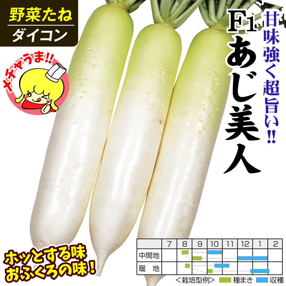 ダイコン 種 たね F1あじ美人 1袋（8ml） 大根 野菜たね YTC08 :p6c-335:花と緑 国華園 通販 